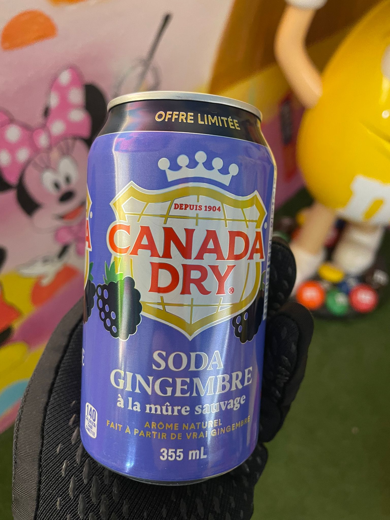 Canada Dry Blackberry Ginger Ale